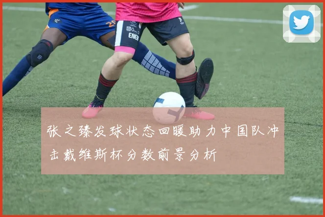 张之臻发球状态回暖助力中国队冲击戴维斯杯分数前景分析
